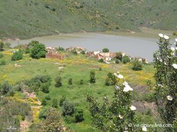 Via-Algarviana