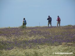 Via-Algarviana